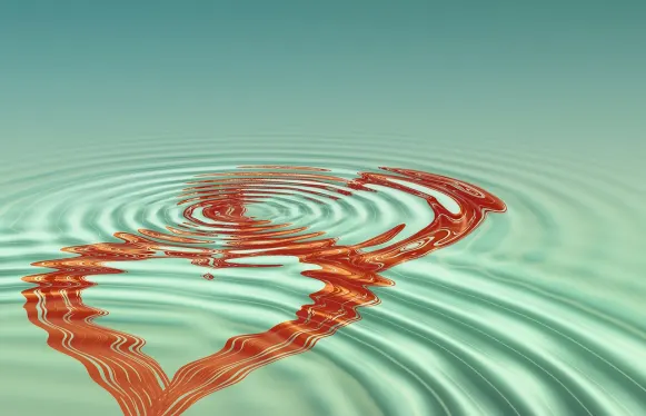 Рокубет Казино Поддръжка